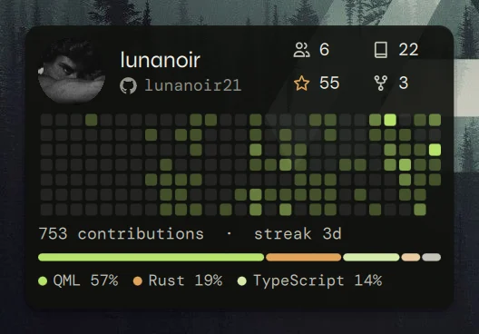 The GitHub profile widget: picture, numbers, contribution calendar, languages